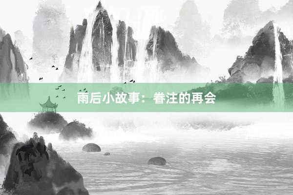 雨后小故事:眷注的再会